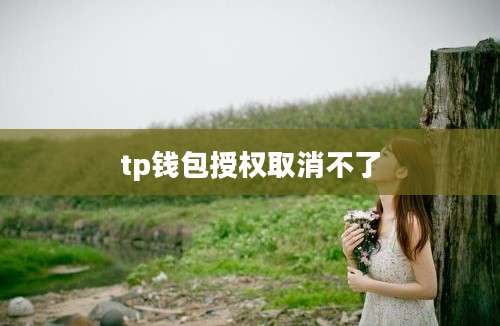 tp钱包授权取消不了