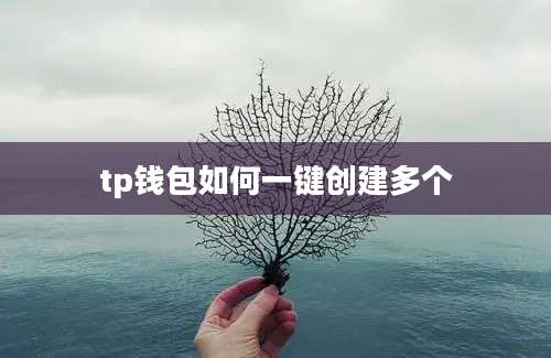 tp钱包如何一键创建多个