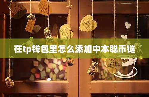 在tp钱包里怎么添加中本聪币链