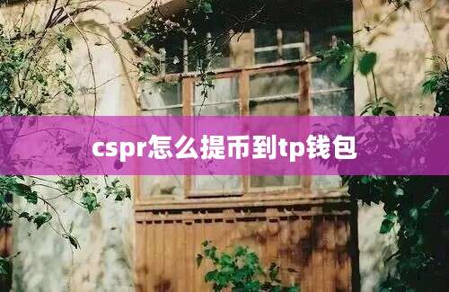 cspr怎么提币到tp钱包