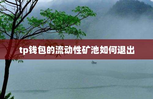 tp钱包的流动性矿池如何退出