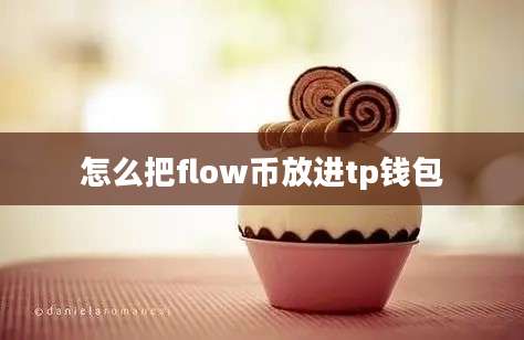 怎么把flow币放进tp钱包