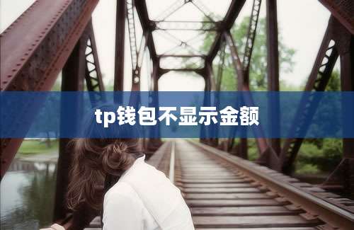 tp钱包不显示金额