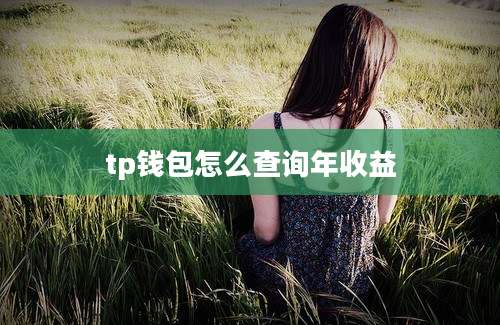 tp钱包怎么查询年收益