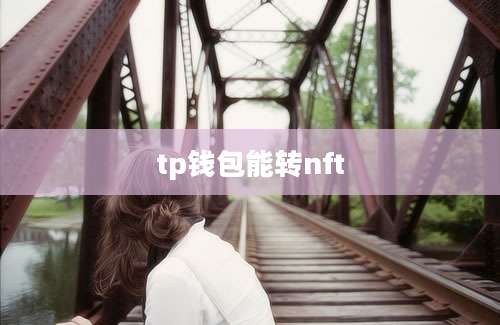 tp钱包能转nft