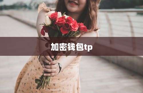 加密钱包tp