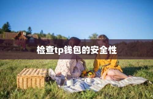 检查tp钱包的安全性