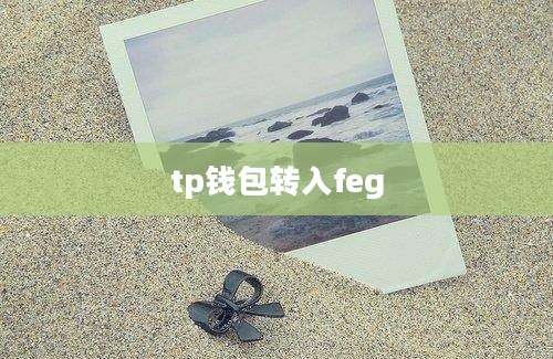 tp钱包转入feg