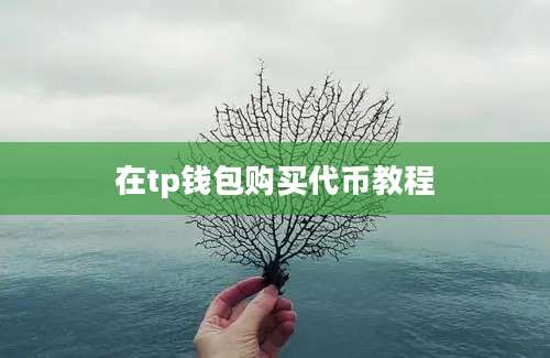 在tp钱包购买代币教程