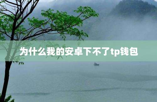 为什么我的安卓下不了tp钱包