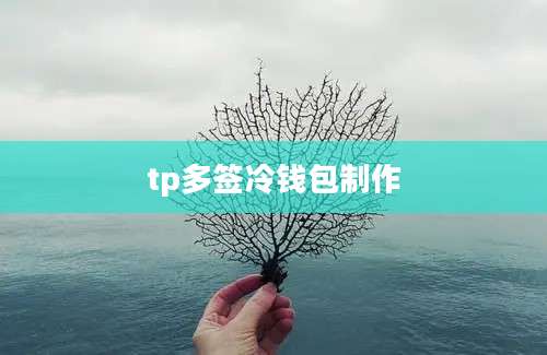 tp多签冷钱包制作