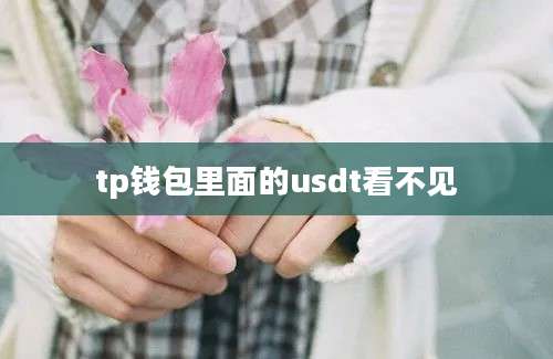 tp钱包里面的usdt看不见