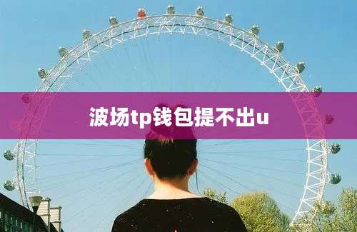 波场tp钱包提不出u