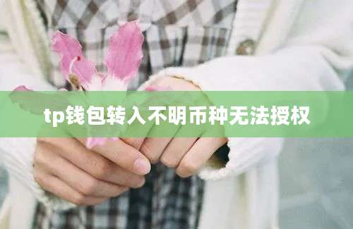 tp钱包转入不明币种无法授权