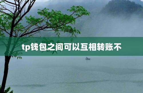 tp钱包之间可以互相转账不