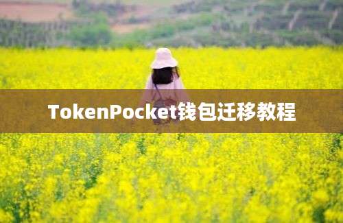 TokenPocket钱包迁移教程