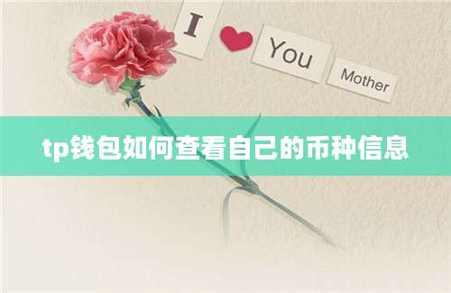 tp钱包如何查看自己的币种信息