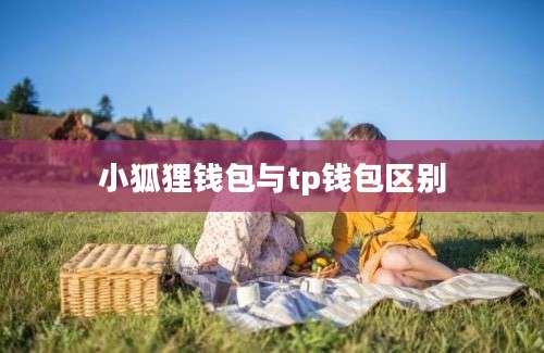 小狐狸钱包与tp钱包区别