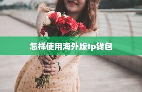 怎样使用海外版tp钱包