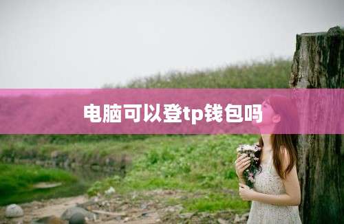电脑可以登tp钱包吗