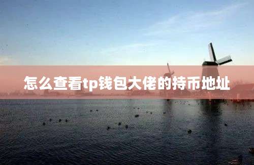 怎么查看tp钱包大佬的持币地址