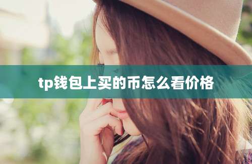 tp钱包上买的币怎么看价格