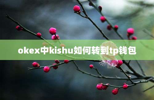 okex中kishu如何转到tp钱包