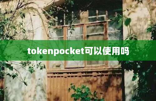 tokenpocket可以使用吗