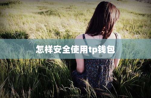 怎样安全使用tp钱包