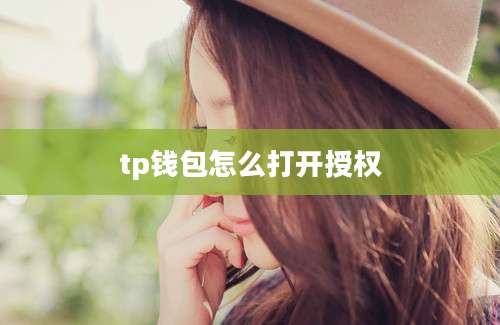tp钱包怎么打开授权
