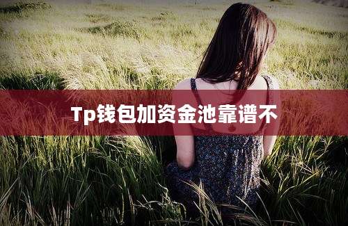 Tp钱包加资金池靠谱不