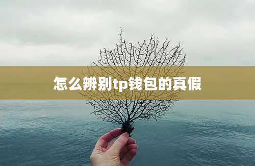 怎么辨别tp钱包的真假