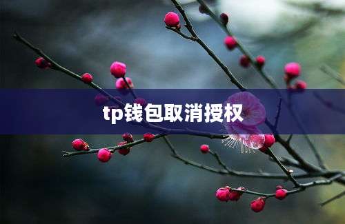 tp钱包取消授权