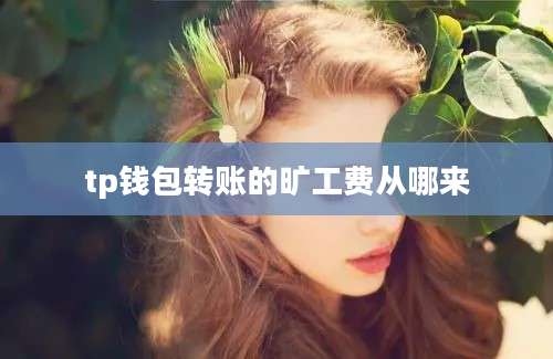 tp钱包转账的旷工费从哪来
