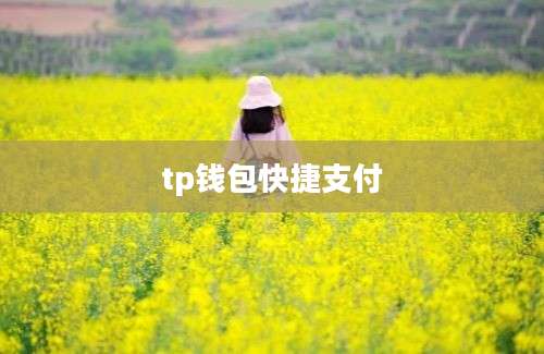 tp钱包快捷支付