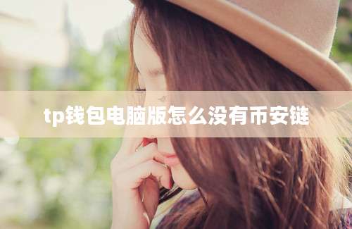 tp钱包电脑版怎么没有币安链