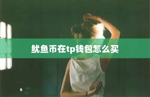 鱿鱼币在tp钱包怎么买