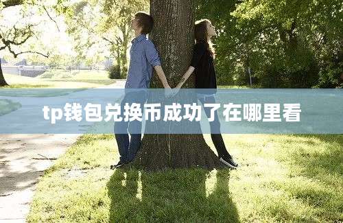 tp钱包兑换币成功了在哪里看