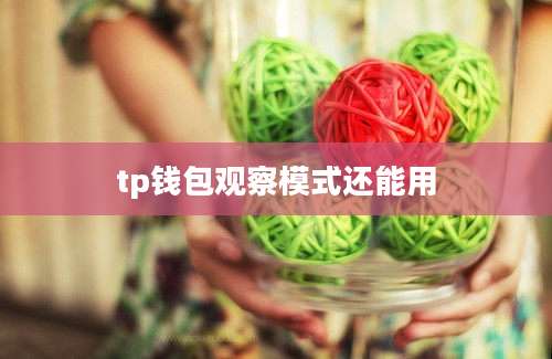 tp钱包观察模式还能用