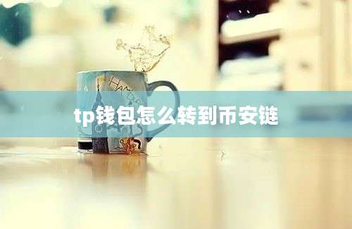 tp钱包怎么转到币安链