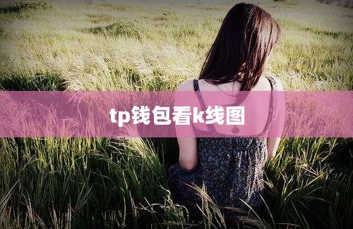 tp钱包看k线图