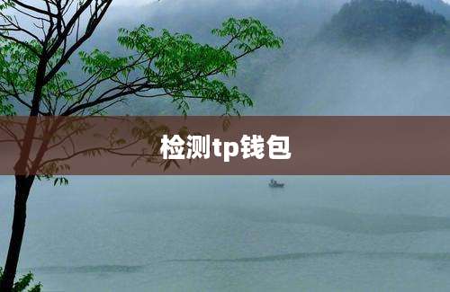 检测tp钱包