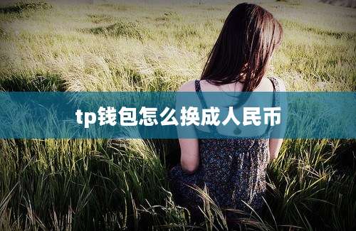 tp钱包怎么换成人民币