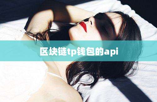 区块链tp钱包的api