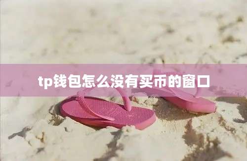 tp钱包怎么没有买币的窗口