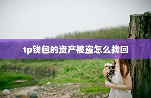 tp钱包的资产被盗怎么找回
