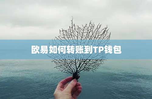 欧易如何转账到TP钱包