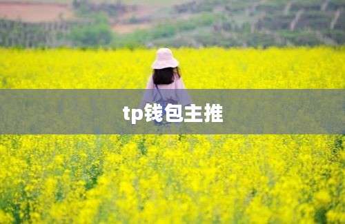 tp钱包主推
