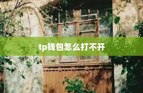 tp钱包怎么打不开