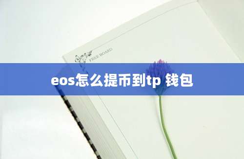 eos怎么提币到tp 钱包